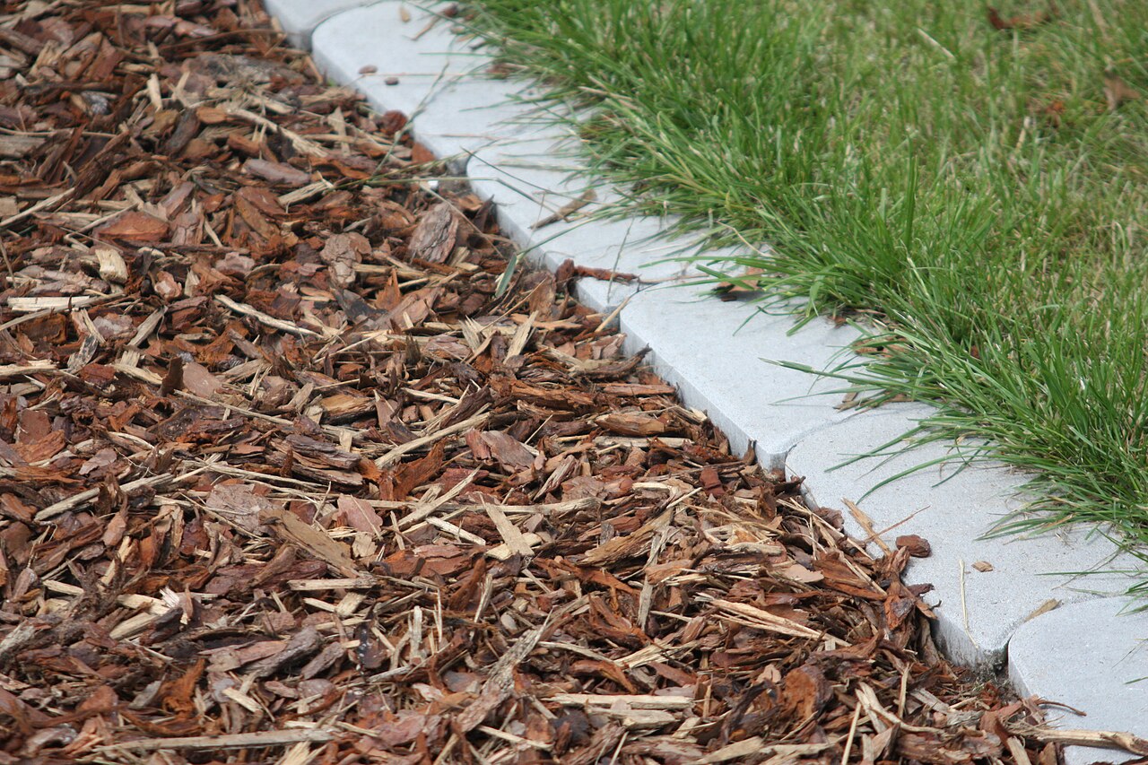 Mulch: What Kind, How Deep, Where to Pull It Back