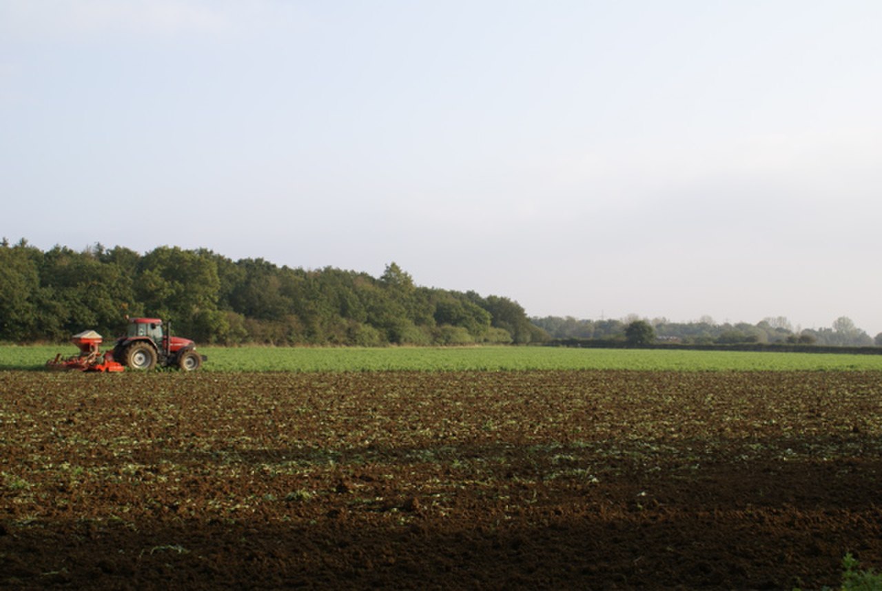 10 10 10 Fertilizer