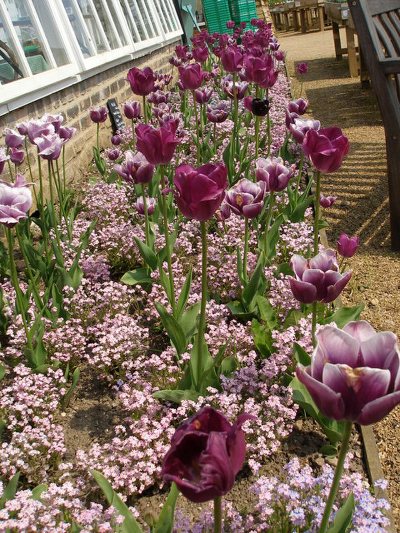 How to Build a Raised Garden Bed