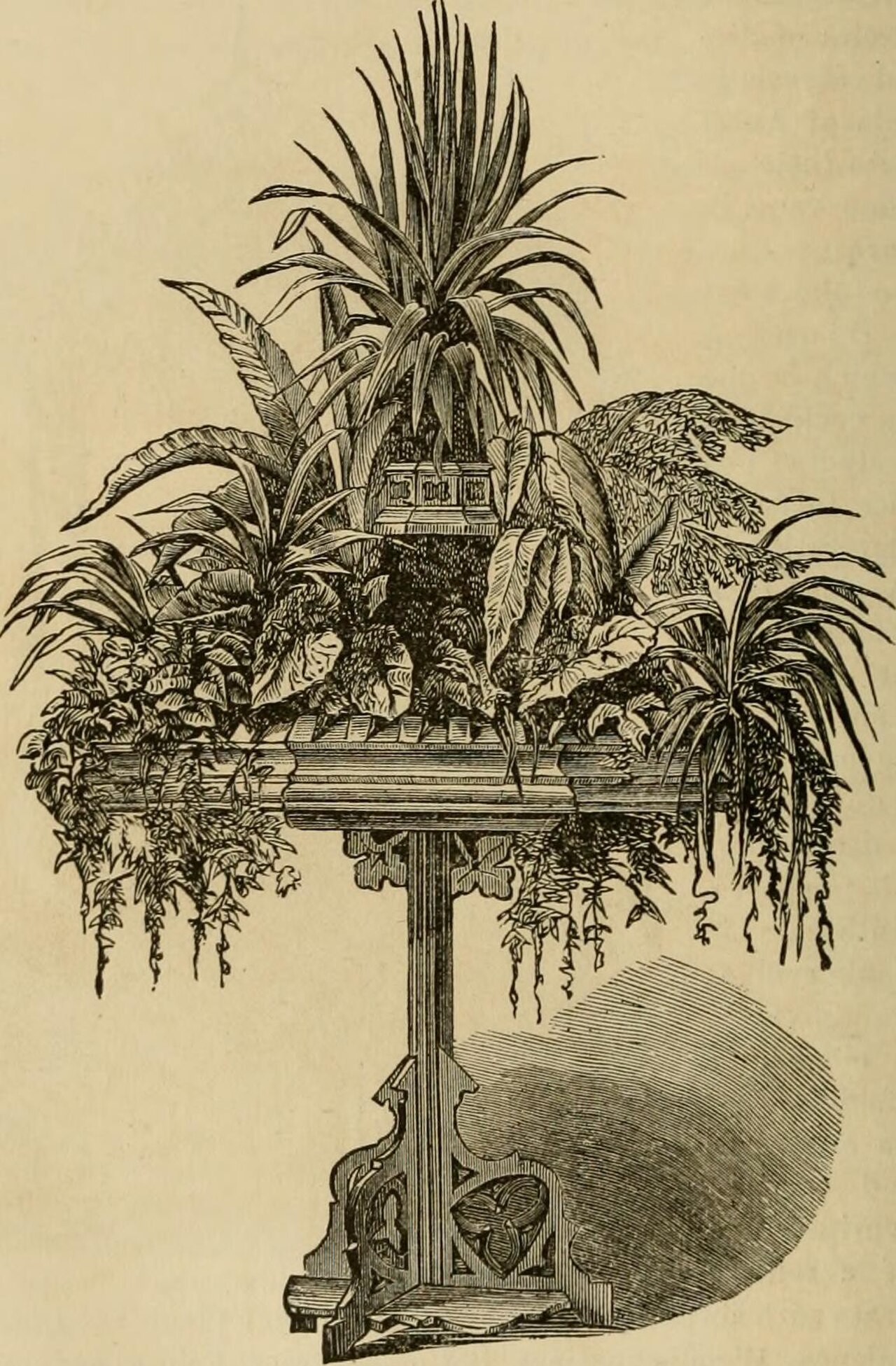 Large Indoor Plants
