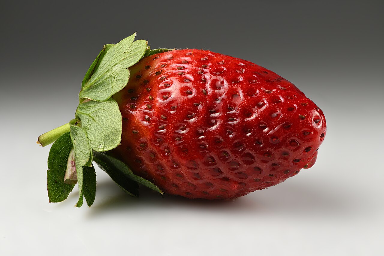 Strawberry: The Backyard Berry That Earns Every Square Foot — Fragaria × ananassa
