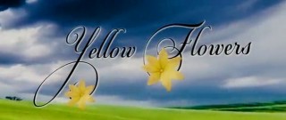 Yellow Flowers: Lunaire's Field-Tested Picks