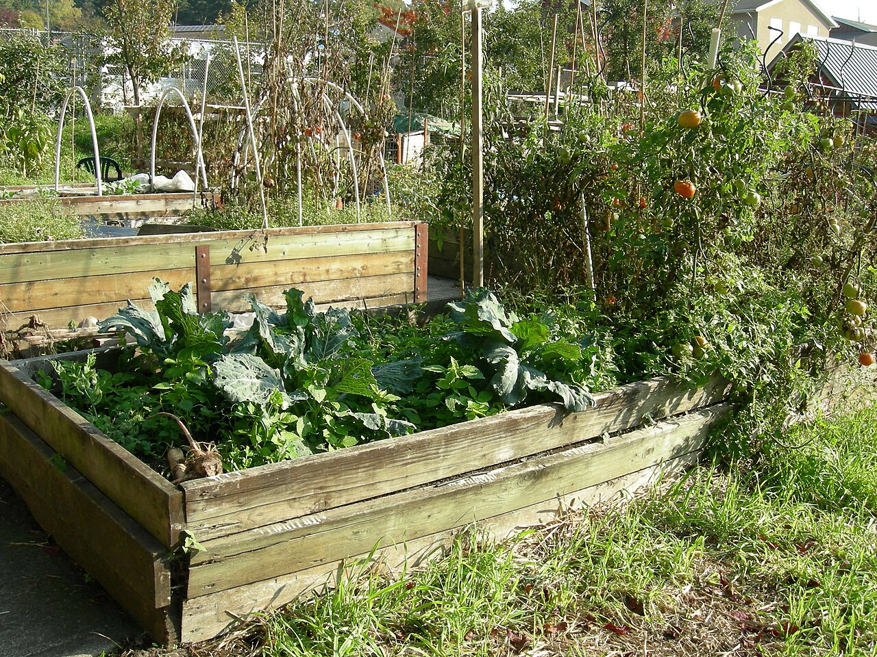 Cover a Raised Garden Bed