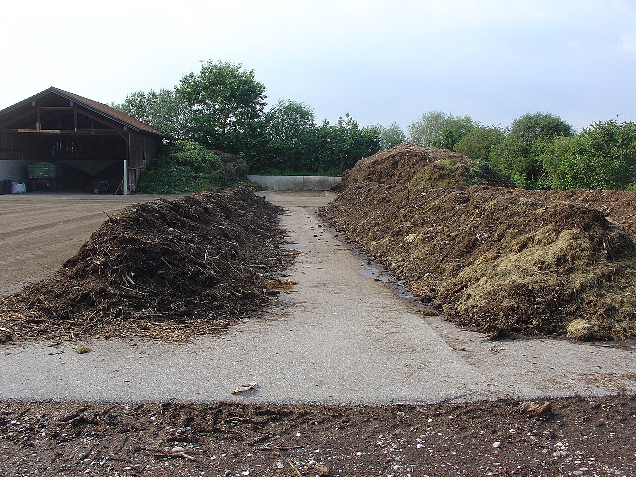 How to Compost: A Step-by-Step Guide from Pile to Finished Soil