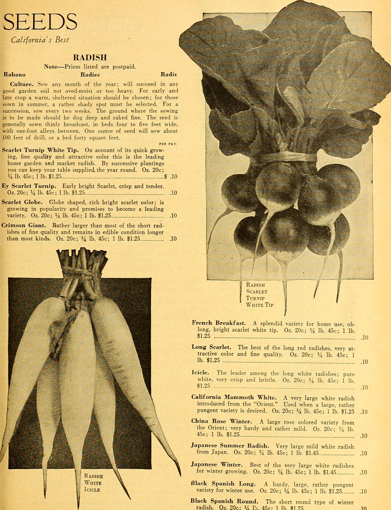 Gardening Tips: 20 Things I Wish I'd Known Earlier
