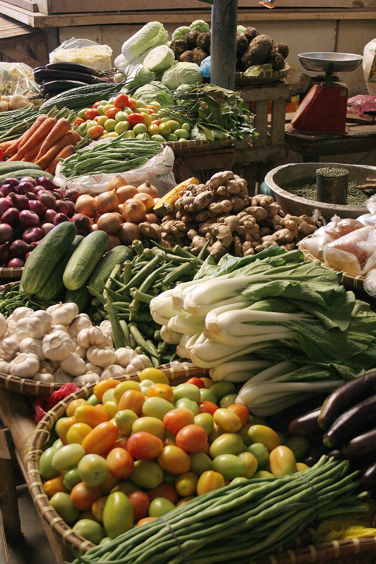 Vegetables: 15 Beginner-Friendly Crops That Pay Back Fast