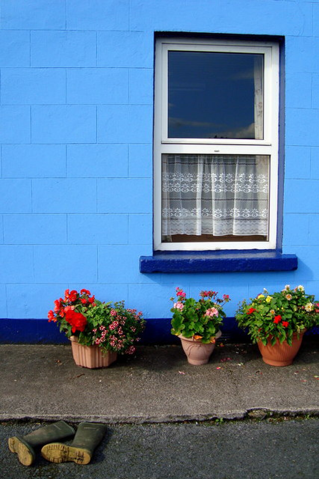 Blue and Flowers: Lunaire's Field-Tested Picks