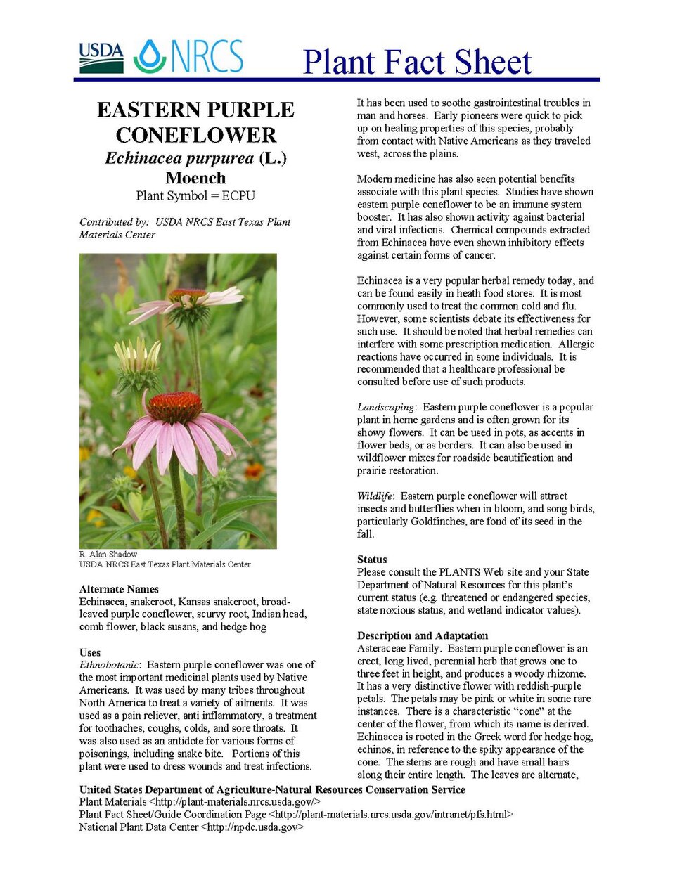 22 Native Plants That Feed Pollinators and Need Little Care